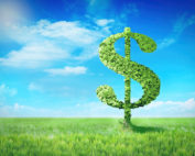 Dollar sign made of tree leaves on green spring field background