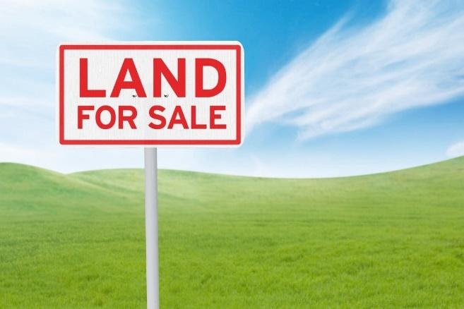 Land for Sale Sign