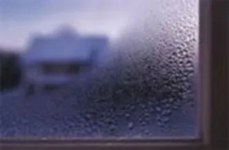 Condensation on Window